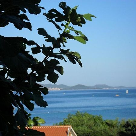 Studio Apartmani Krstina Sukošan Εξωτερικό φωτογραφία